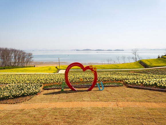 [사진 제공 신안군. 재판매 및 DB 금지]