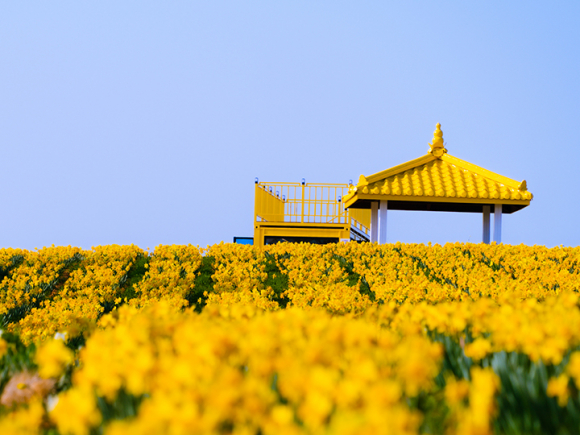 [사진 제공 신안군. 재판매 및 DB 금지]