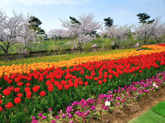 전 연령 사진 명소 [사진 제공 네이처월드. 재판매 및 DB 금지]