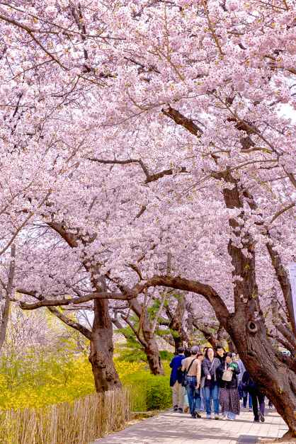 [사진 제공 영등포구. 재판매 및 DB 금지]