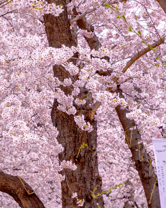 [사진 제공 영등포구. 재판매 및 DB 금지]