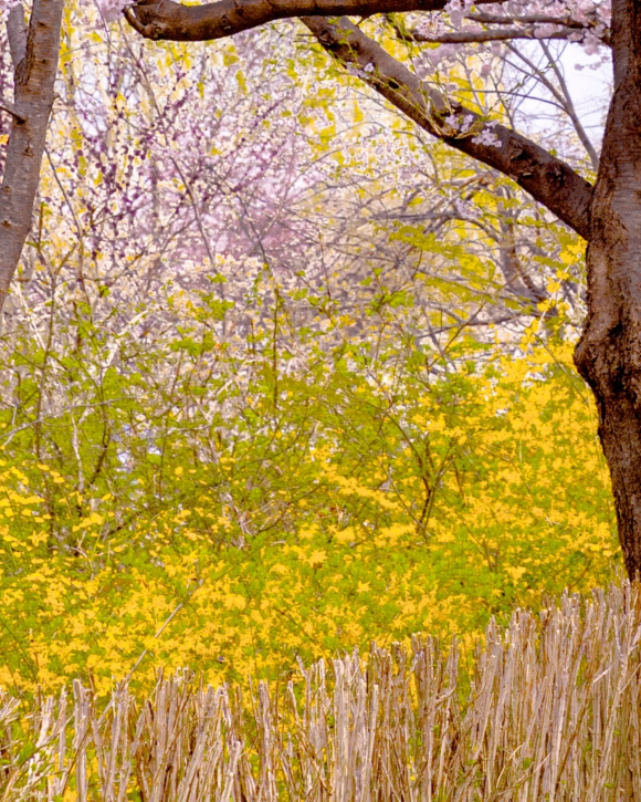 [사진 제공 영등포구. 재판매 및 DB 금지]