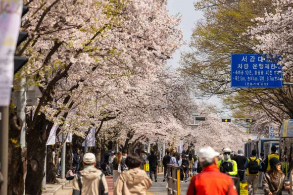 [사진 제공 영등포구. 재판매 및 DB 금지]