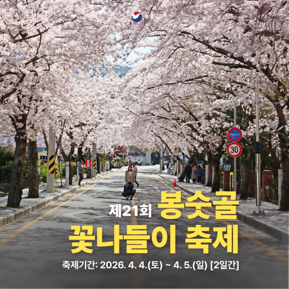 [사진 제공 봉숫골벚꽃축제위원회. 재판매 및 DB 금지]