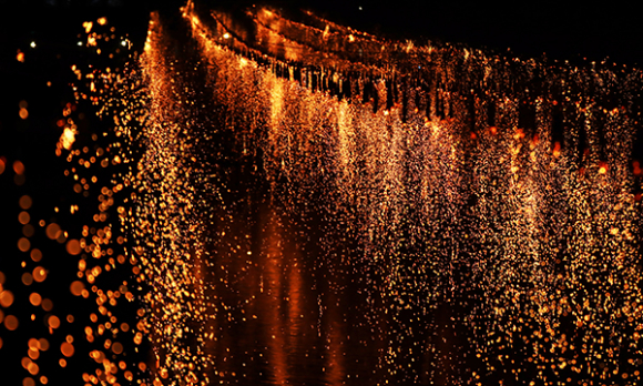 [사진 제공 영암군. 재판매 및 DB 금지]