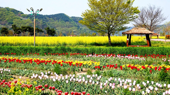 [사진 제공 창녕군. 재판매 및 DB 금지]