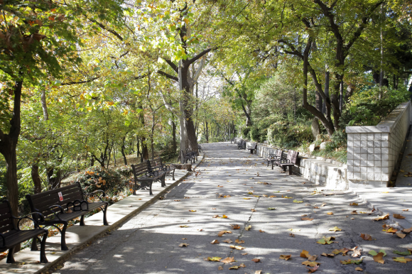자유공원 산책로 [사진 제공 인천중구문화재단. 재판매 및 DB 금지]