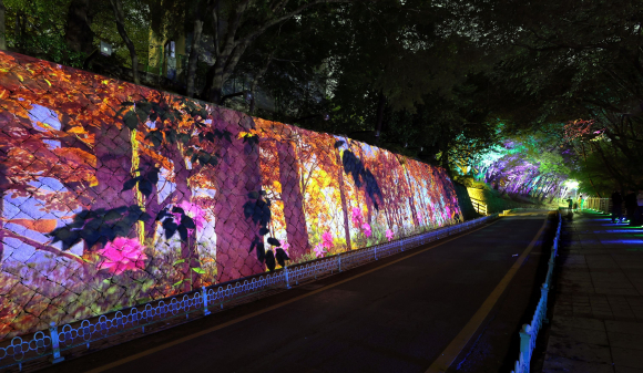 울창한 수목 사이로 홀로그램이 등장하며 나비와 별빛이 어우러진 환상적인 야간 산책길을 만든다 [사진 제공 인천중구문화재단. 재판매 및 DB 금지]