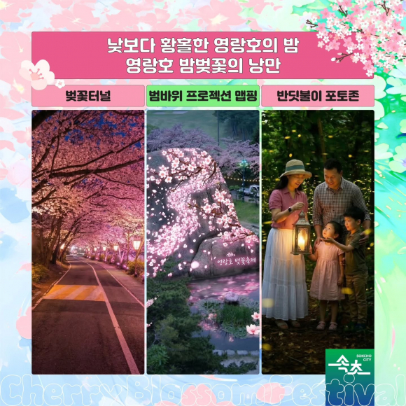 [사진 제공 속초시. 재판매 및 DB 금지]