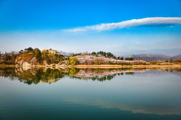 [사진 제공 속초시. 재판매 및 DB 금지]