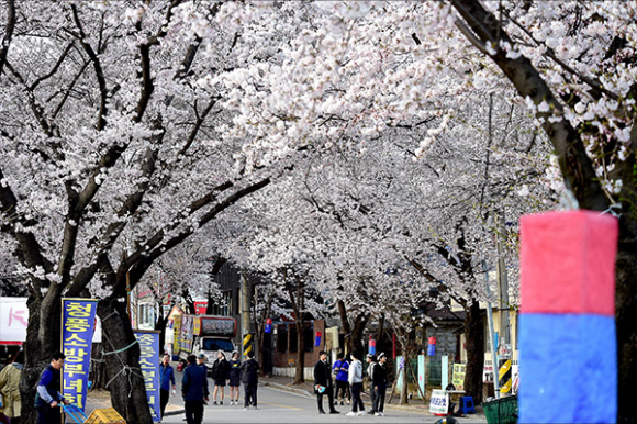 [사진 제공 (재)제천문화재단. 재판매 및 DB 금지]