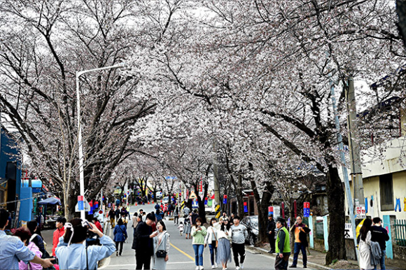 [사진 제공 (재)제천문화재단. 재판매 및 DB 금지]