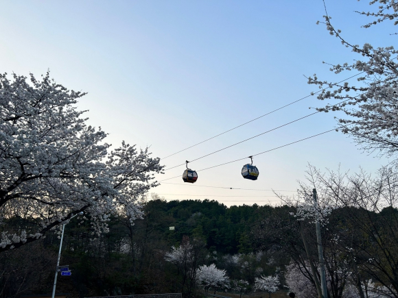 [사진 제공 (재)제천문화재단. 재판매 및 DB 금지]