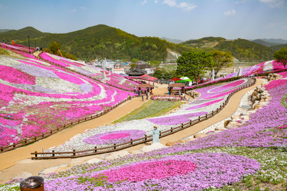 [사진 제공 산청군. 재판매 및 DB 금지]