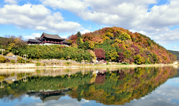 [사진 제공 밀양시. 재판매 및 DB 금지]