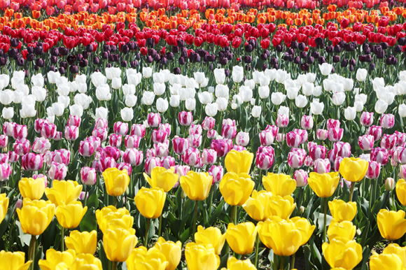 [사진 제공 신안군. 재판매 및 DB 금지]