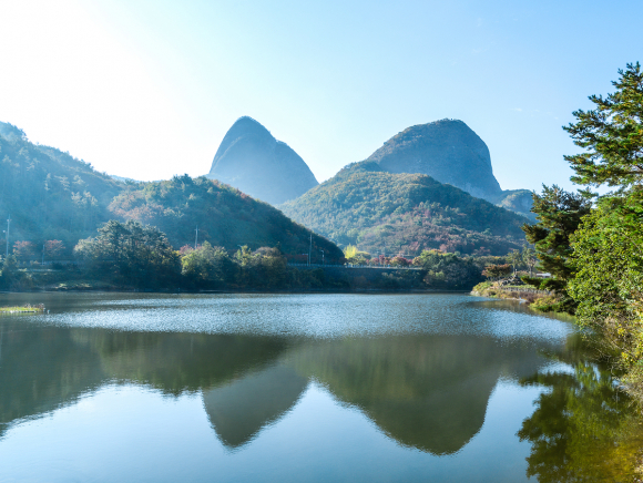 [사진 제공 농업회사법인진안꽃잔디농원. 재판매 및 DB 금지]