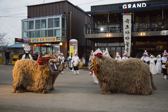 [사진 제공 강원특별자치도. 재판매 및 DB 금지]