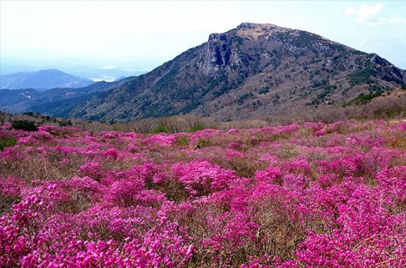 [사진 제공 달성문화재단. 재판매 및 DB 금지]