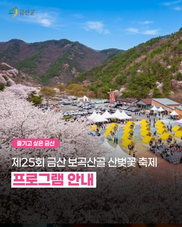 [사진 제공 금산문화관광축제재단. 재판매 및 DB 금지]