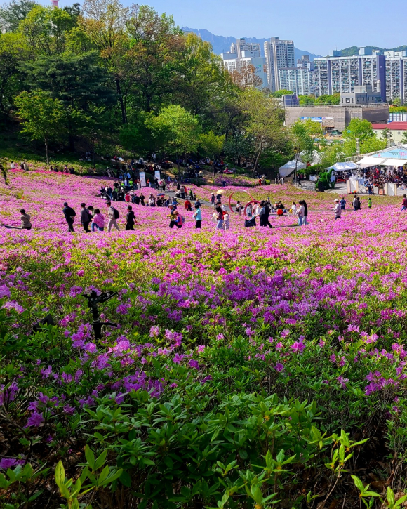 [사진 제공 노원구. 재판매 및 DB 금지]