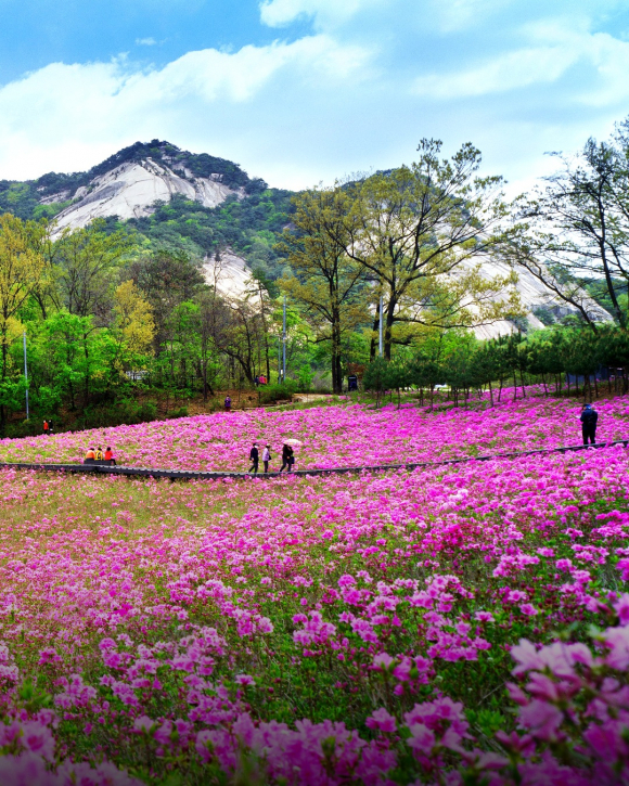 [사진 제공 노원구. 재판매 및 DB 금지]