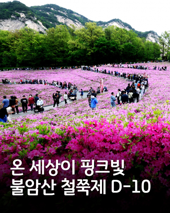 [사진 제공 노원구. 재판매 및 DB 금지]