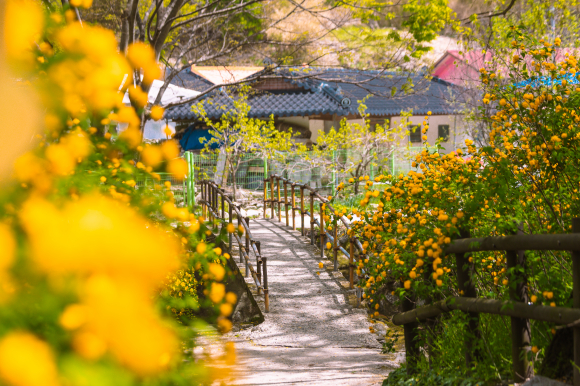 [사진 제공 공주시. 재판매 및 DB 금지]