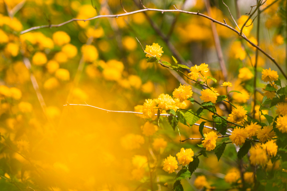 [사진 제공 공주시. 재판매 및 DB 금지]