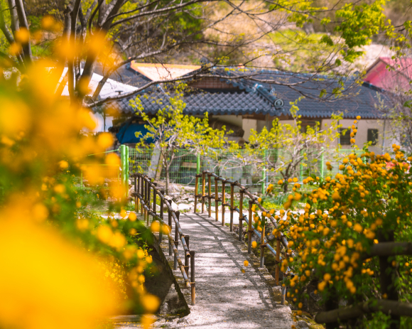[사진 제공 공주시. 재판매 및 DB 금지]