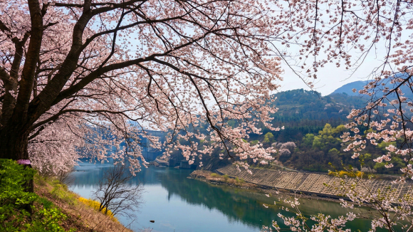 [사진 제공 켄싱턴리조트 충주. 재판매 및 DB 금지]