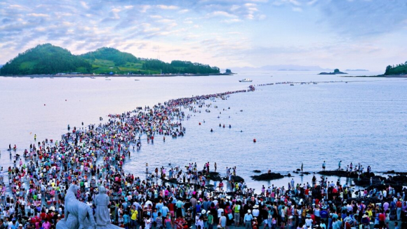 [사진 제공 진도군. 재판매 및 DB 금지]