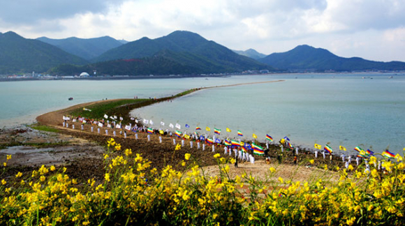 [사진 제공 진도군. 재판매 및 DB 금지]