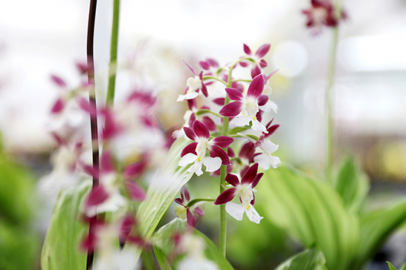 [사진 제공 신안군. 재판매 및 DB 금지]