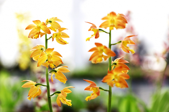 [사진 제공 신안군. 재판매 및 DB 금지]