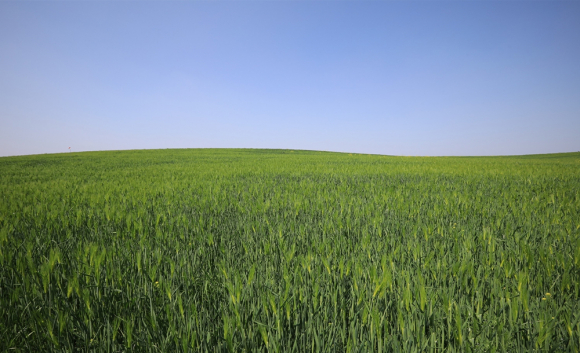 [사진 제공 고창군. 재판매 및 DB 금지]