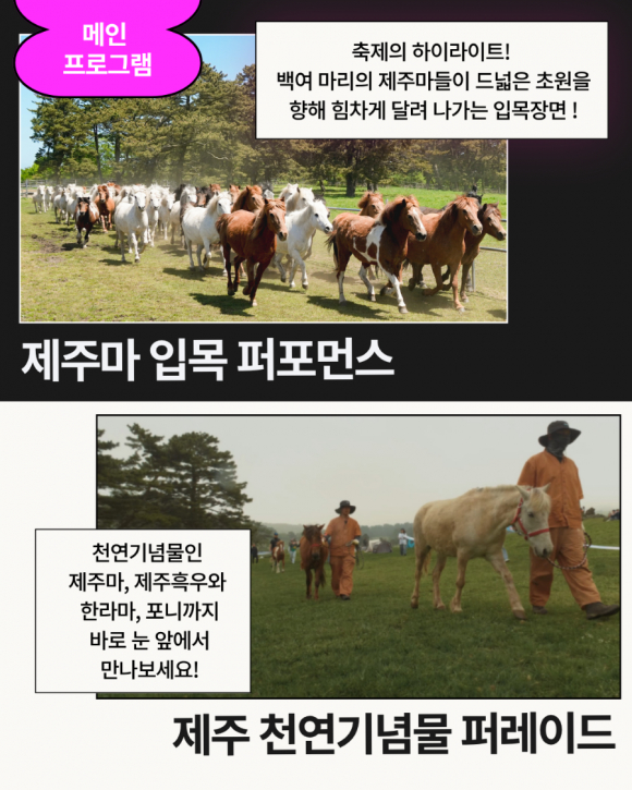 [사진 제공 제주특별자치도. 재판매 및 DB 금지]