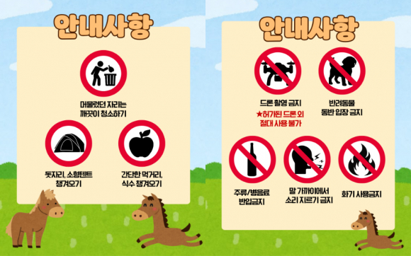 [사진 제공 제주특별자치도. 재판매 및 DB 금지]