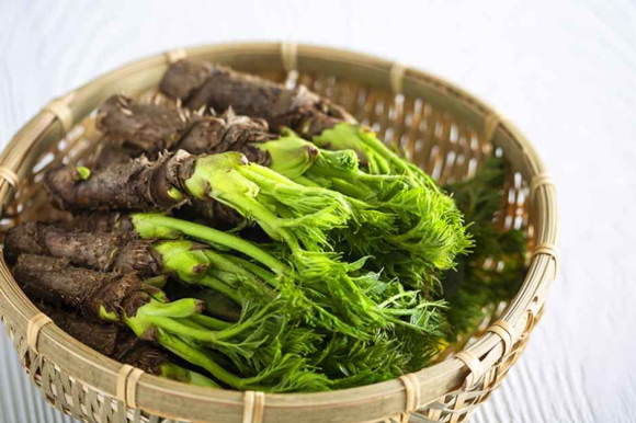 [사진 제공 초롱이둥지마을. 재판매 및 DB 금지]