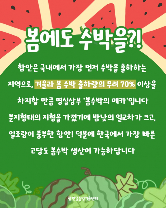 [사진 제공 함안수박축제위원회. 재판매 및 DB 금지]