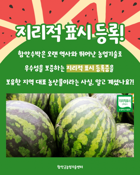 [사진 제공 함안수박축제위원회. 재판매 및 DB 금지]