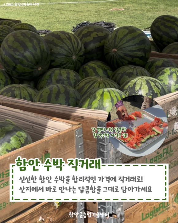 [사진 제공 함안수박축제위원회. 재판매 및 DB 금지]