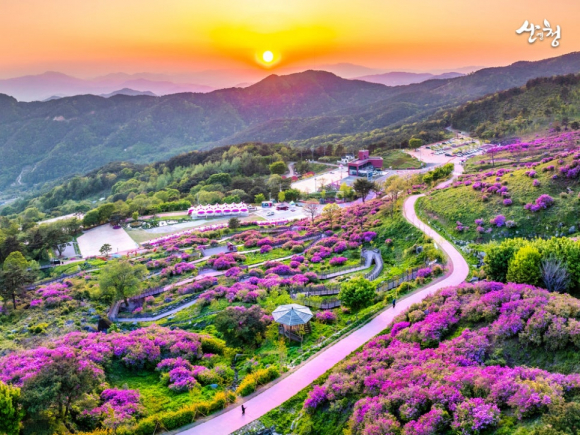 [사진 제공 산청군. 재판매 및 DB 금지]