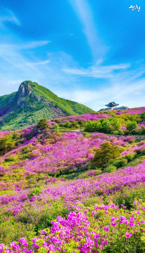 [사진 제공 산청군. 재판매 및 DB 금지]