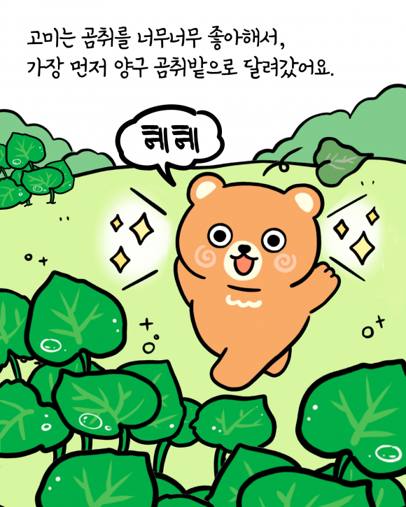 [사진 제공 양구문화재단. 재판매 및 DB 금지]