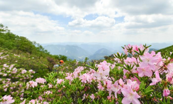 [사진 제공 정선군. 재판매 및 DB 금지]