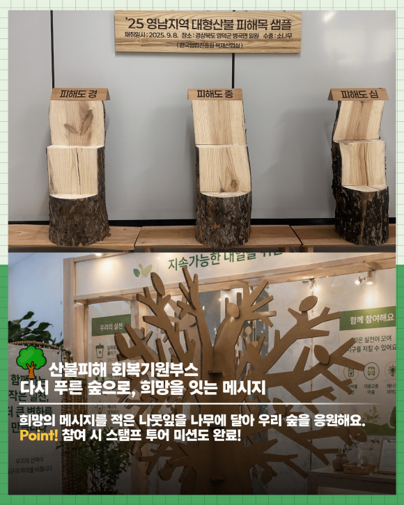 [사진 제공 산림청. 재판매 및 DB 금지]
