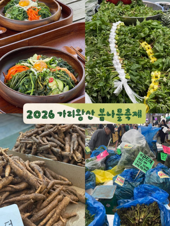 [사진 제공 정선군. 재판매 및 DB 금지]