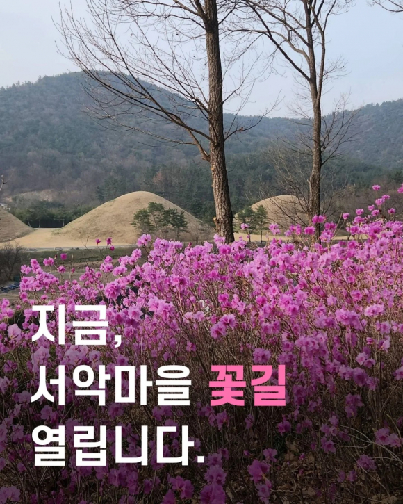 [사진 제공 사단법인 신라문화원. 재판매 및 DB 금지]