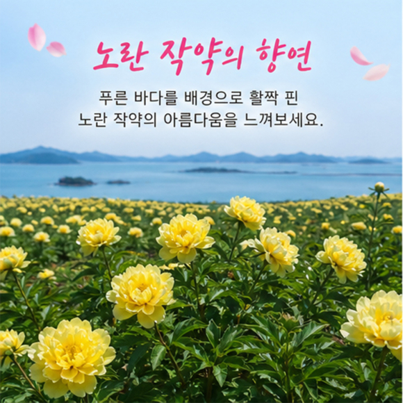 [사진 제공 신안군. 재판매 및 DB 금지]